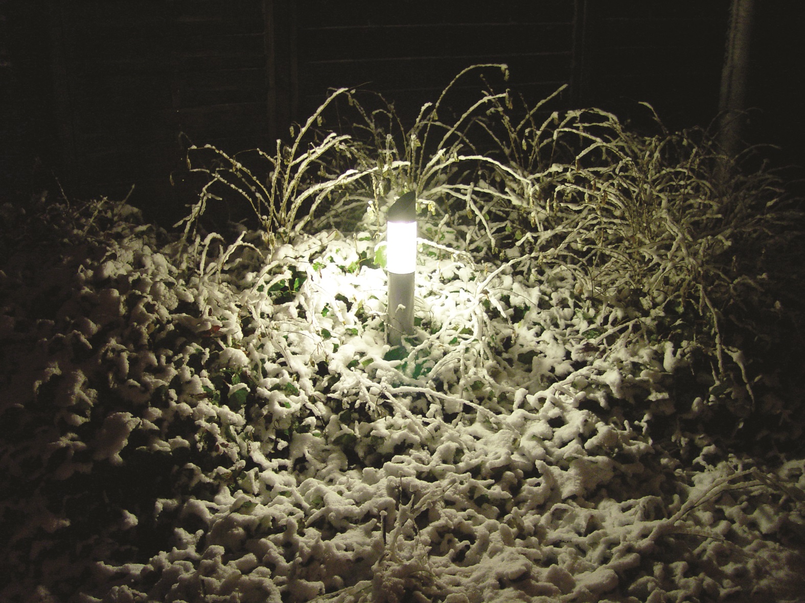 Lampe leuchtet Abends in einem Strauch der mit Schnee bedeckt ist